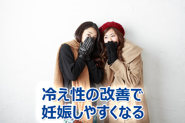 �D�P������,�u���O,���p�@,�D��,����